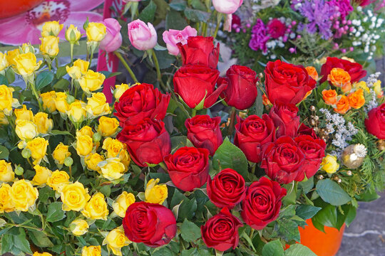 Red roses