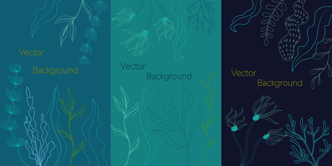 Linear vector set of social media stories design templates, backgrounds with copy space for text - background with underwater plants and leaves