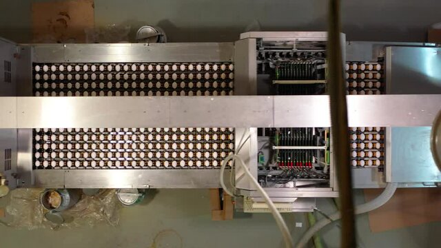 production line with eggs at a poultry farm
