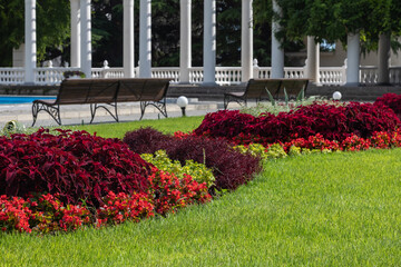 In the foreground of the photo are colorful flower beds growing on the green lawn grass in the Botanical garden. In the background, Park benches, cobblestone alleys and columns of white stone.