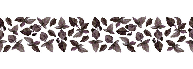 Seamless border of purple basil twigs and leaves, isolated on white. Watercolour illustration. For cookbook, recipes, menu, duct tape, ribbon and packaging design.