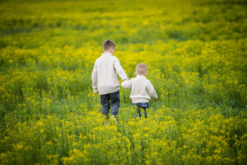 Naklejka premium two brothers hold each other's hands and walk into a blooming yellow field. Back view