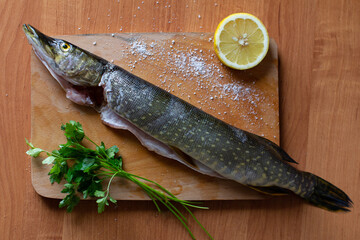 fresh tasty raw pike fish with head on wooden board on wooden board with parsley and lemon