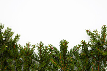 Fototapeta premium Border fir tree branches isolated on white