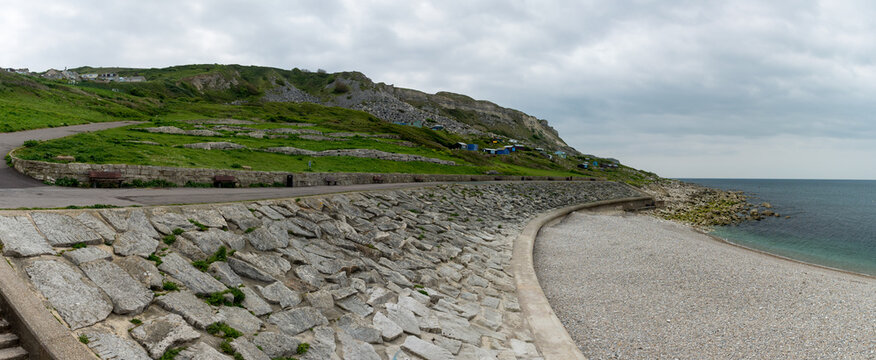 Chesil beach forest england uk 
