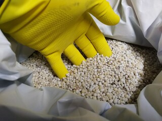 hand in lawn food granules