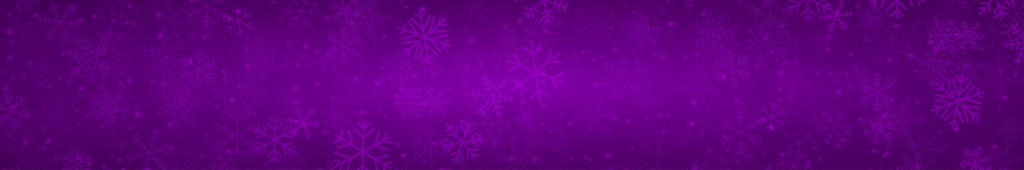 Fototapeta na wymiar Christmas banner of snowflakes of different shapes, sizes and transparency on purple background