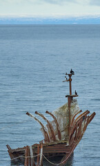 Restos de Esqueleto Barco con Aves