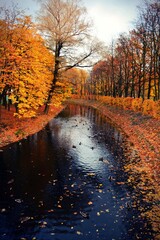 autumn in the park
