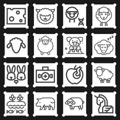 16 pack of pigs  lineal web icons set
