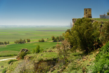 Fototapeta na wymiar landscape of andalucia. view of the farmland of guadalquivir from carmona town. andalusia. spain