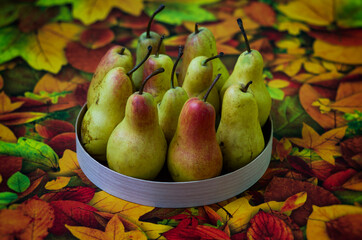 ripe red-yellow pears in a box on a background of autumn leaves
