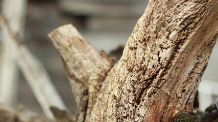 Old dark wooden pattern, background, texture