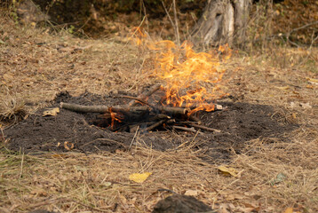 Man putting wooden sticks into fire. Bonfire in the forest. Campfire in a nature