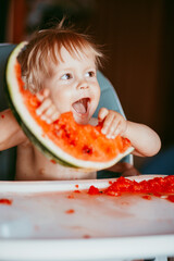 Happy toddler boy eating watermelon in his highchair