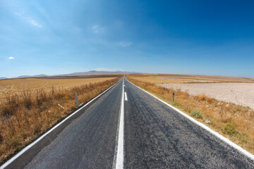 Fototapeta na wymiar asphalt road with dried grass and blue sky. a long way to travel.
