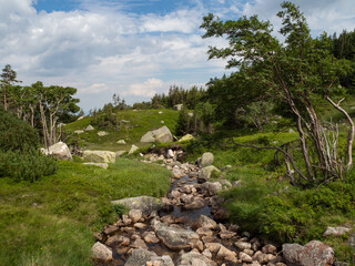 Fototapeta na wymiar Stream of crystal clean water, Karkonosze National Park