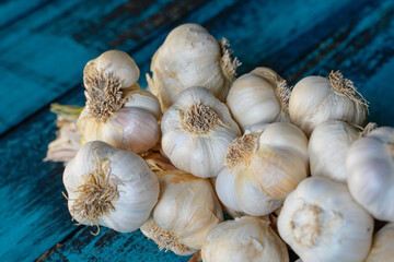 garlic bunch on a blue wooden table
