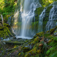 Summer Rainbow - Proxy Falls in the Three Sisters Wilderness Area, Oregon.
