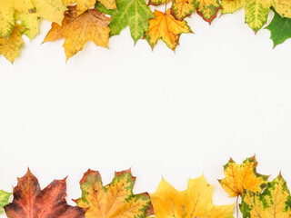 Naklejka na ściany i meble autumn leaves frame.Frame from bright autumn leaves on a white background with a place for text in the middle, top view.