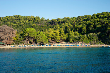 Secluded beach with trees, Skopelos Island Greece