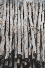Texture background of multiple wooden logs in selective focus. 