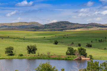 Mixed grass prairie in the Wichita Mountains National Wildlife Refuge of SW Oklahoma