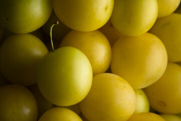 3 - Close shot of harvested yellow mirabelle plums lit from the right.