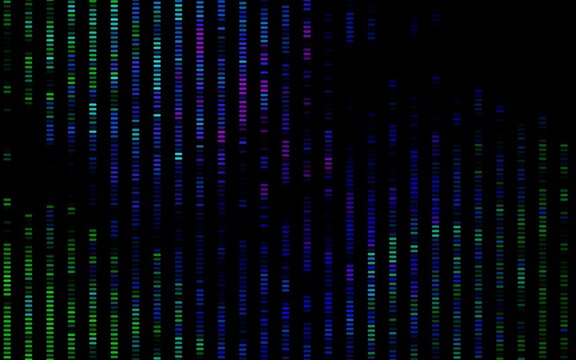 Dark Multicolor, Rainbow vector layout with flat lines.