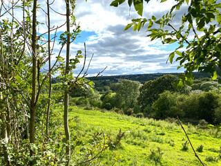 View of countryside, with sloping fields, old trees and distant hills near, Wyke, Bradford, UK