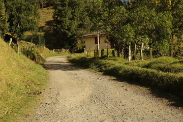 Camino destapado 