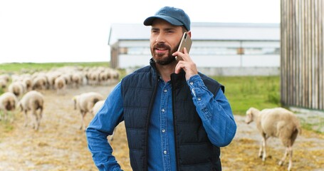 Handsome smiled Caucasian male shepherd talking on mobile phone while flock of sheep walking on background. Man farmer speaking on telephone outdoors at shed. © VAKSMANV