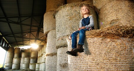 Pretty nice small Caucasian blonde girl smiling, resting and sitting on hay stocks in barn in...