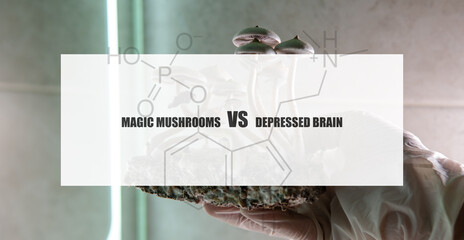 the effect of psilocybin on the mental state of a sick person. Treatment of depression with magic mushrooms