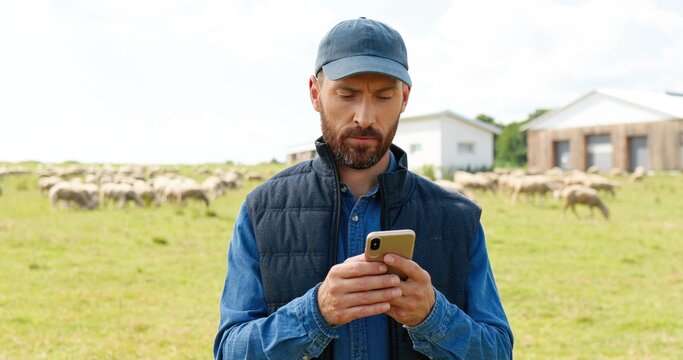 Caucasian young male shepherd tapping and scrolling on mobile phone. Handsome man texting message on smartphone. Workng at animals farm. Flock of sheep and female walking on background.