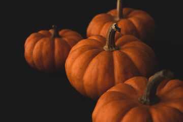 Pumpkin macro close up selective focus