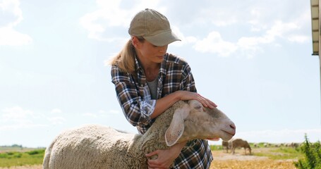 Caucasian pretty young woman shepherd holding sheep and petting it outdoors. Beautiful female...