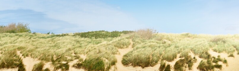 Sand dunes and dune grass at the North sea shore in Vlissingen, the Netherlands. Clear sunny day. Blue sky with lots of white clouds. Idyllic landscape. Travel destinations, tourism, vacations