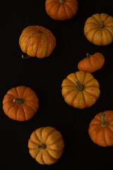 Pumpkin macro close up selective focus