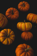 Pumpkin macro close up selective focus