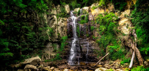 Waterfall in the rainforest
