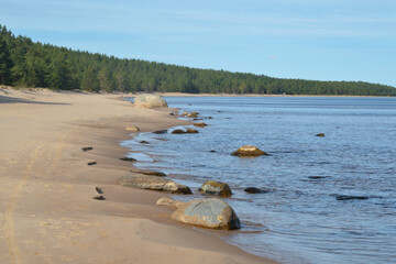 Fototapeta premium Lakeside at sunny day.