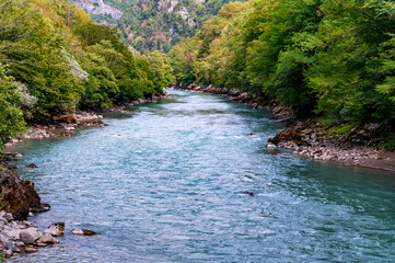 Fall landscape with mountain river and green forest