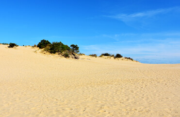 Jockey's Ridge State Park, North Carolina