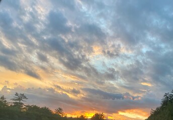 Fototapeta premium sunset over the field