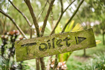 wooden sign covered with green moss with the inscription toilet