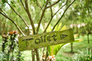 wooden sign covered with green moss with the inscription toilet