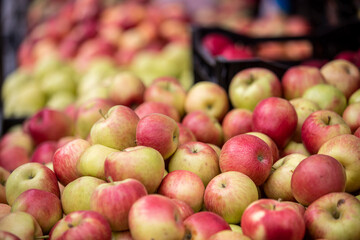 Apples on display at a farmers market