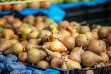 Bosch Pears on display at a farmers market