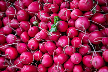 Radishes on display at a farmers market